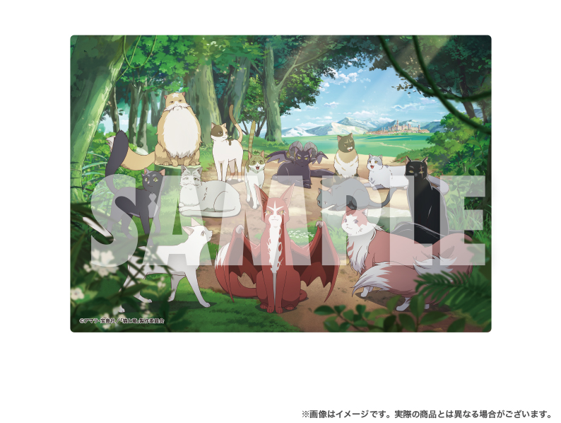 Item S image